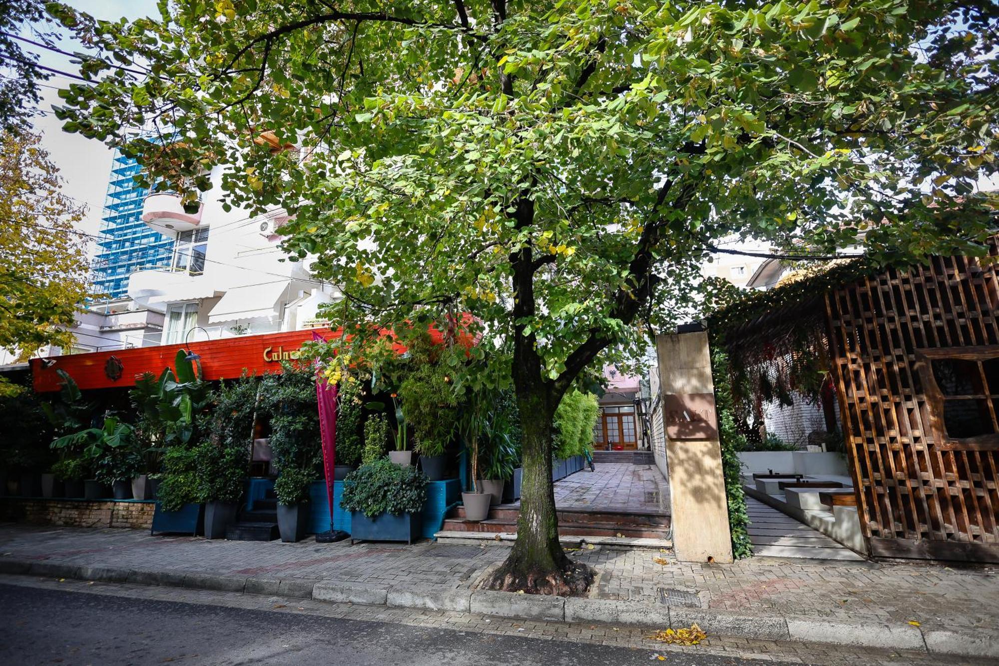 Noela'S Place Tiranë Eksteriør bilde